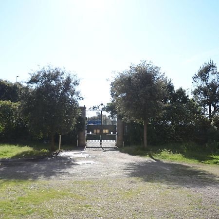 Villa Anselmi - Arteindiretta Livorno Kültér fotó